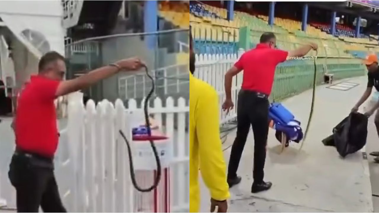 IND vs PAK: Snake scare at Colombo stadium averted before big clash; Deets inside
