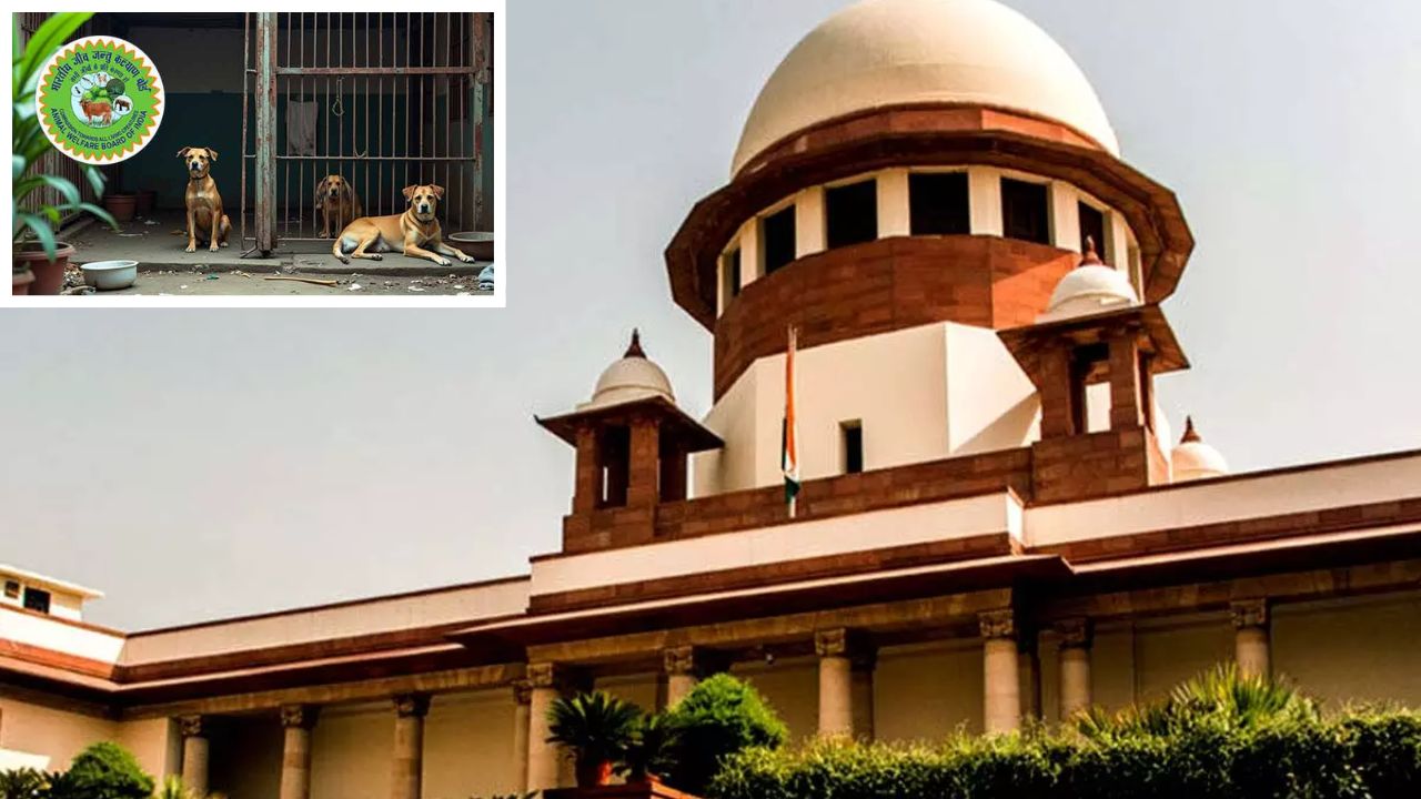 Supreme Court pulls up 15 states, UTs for not setting up animal welfare boards