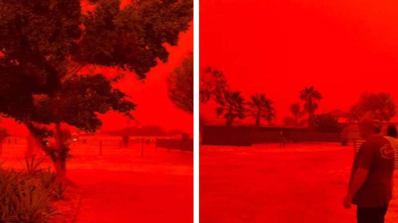 Watch: Skies in Australia eerily turn blood-red; Science behind the phenomenon explained