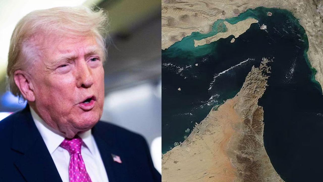 ‘Go Get Your Own Oil’: Trump tells countries gather delayed courage, go to Hormuz as crisis deepens