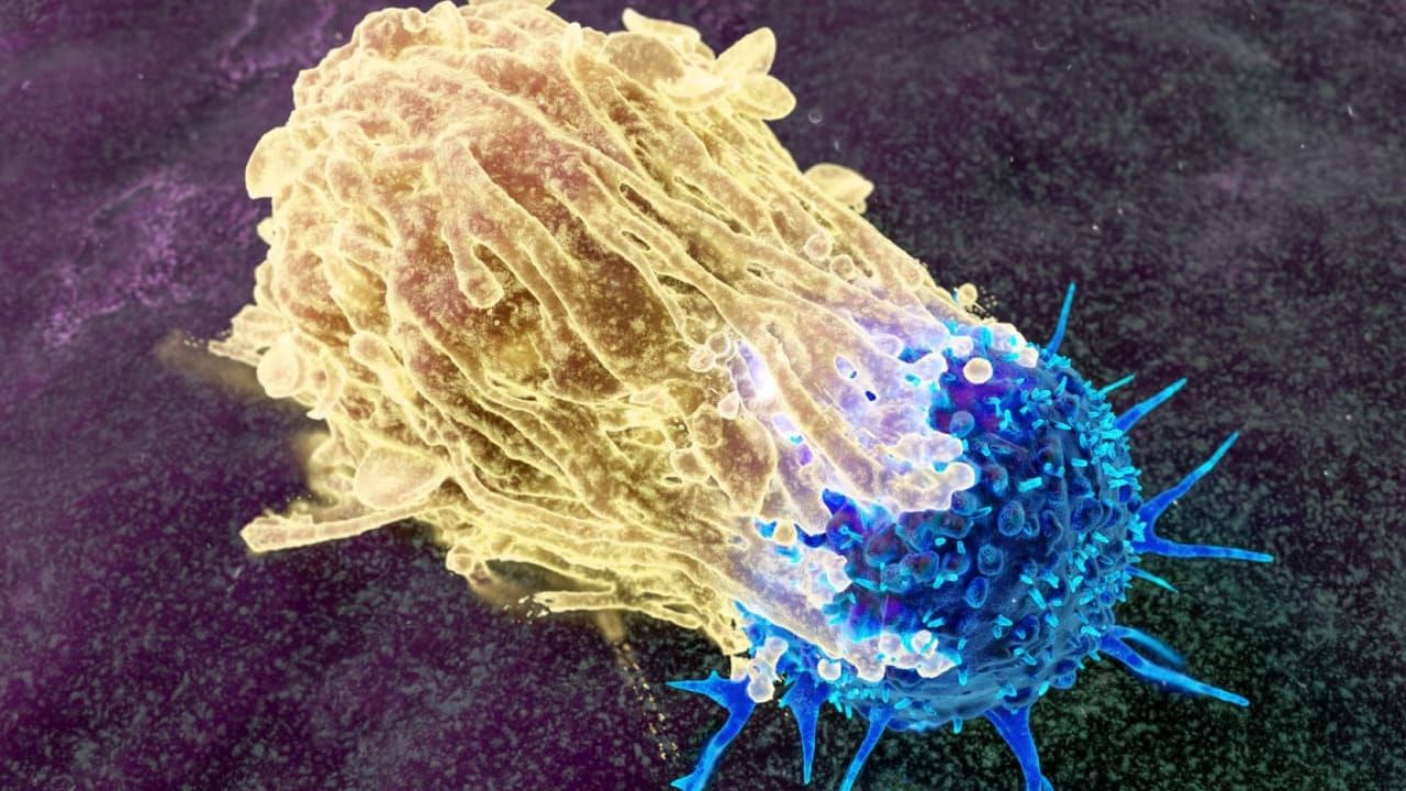 How one injection could change the way we fight cancer; Click for details