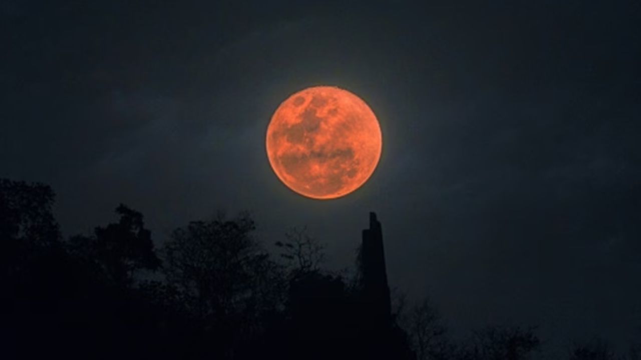 Blood Moon to Light Up the Sky Today: Here’s How to Stream the Lunar Eclipse Live