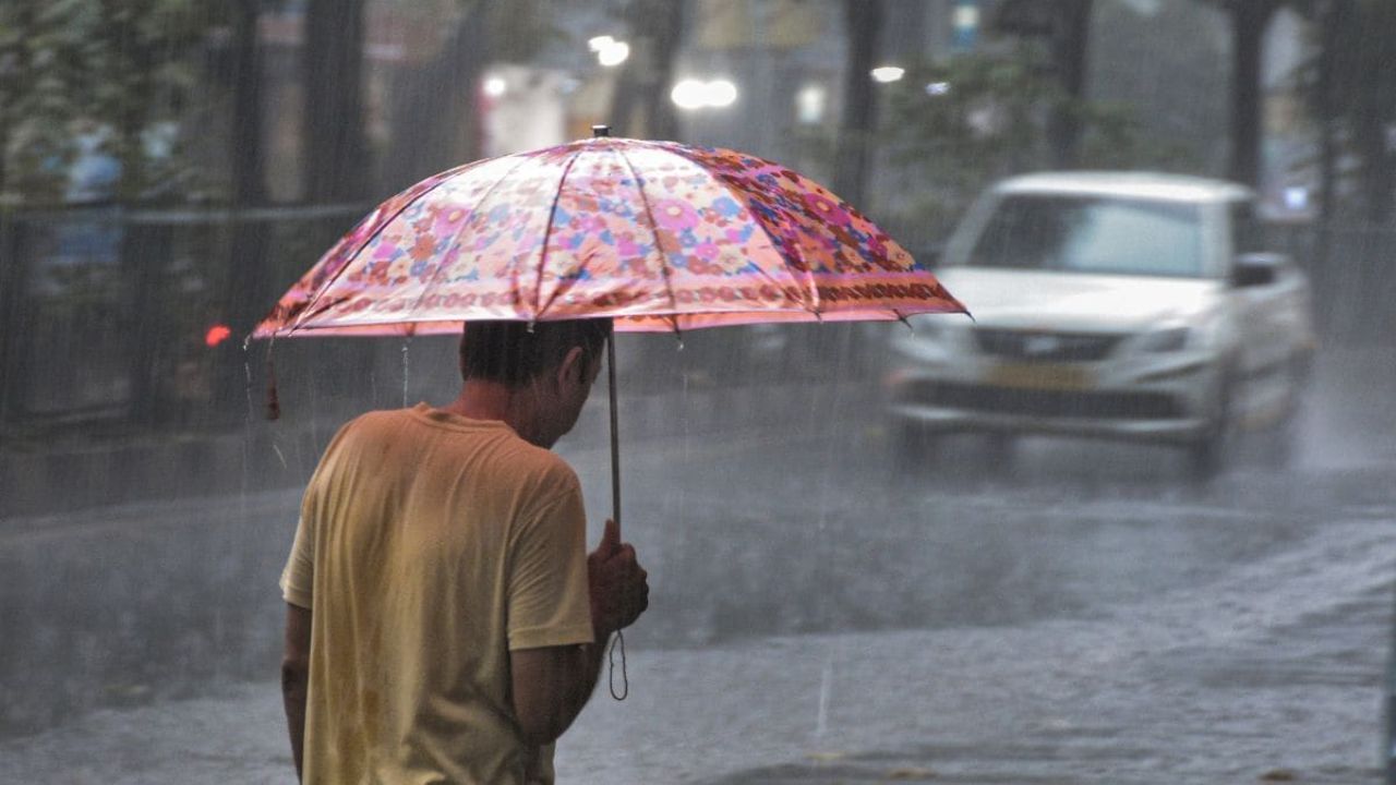 Cloudy skies and light rain expected in Delhi over next few days; Check weather report here