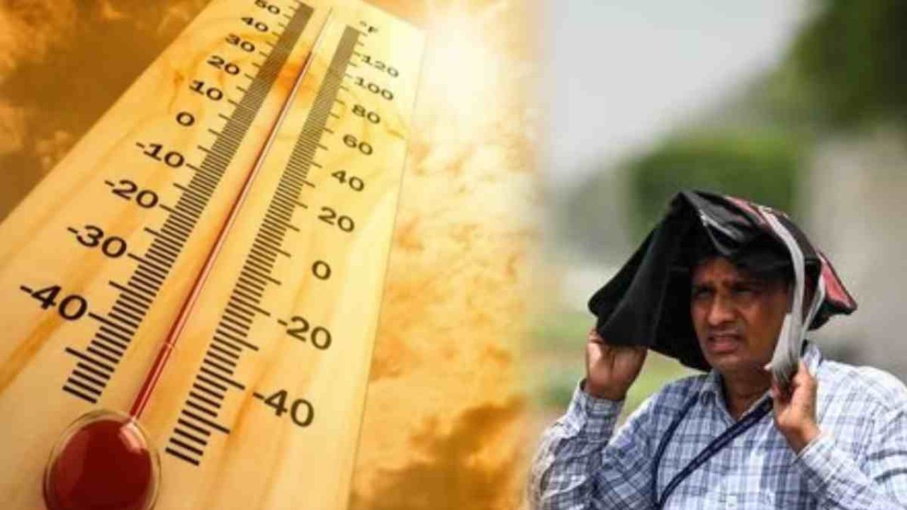 Delhi Heat Surge: Will temperatures break 2024 record, cross 50°C mark?