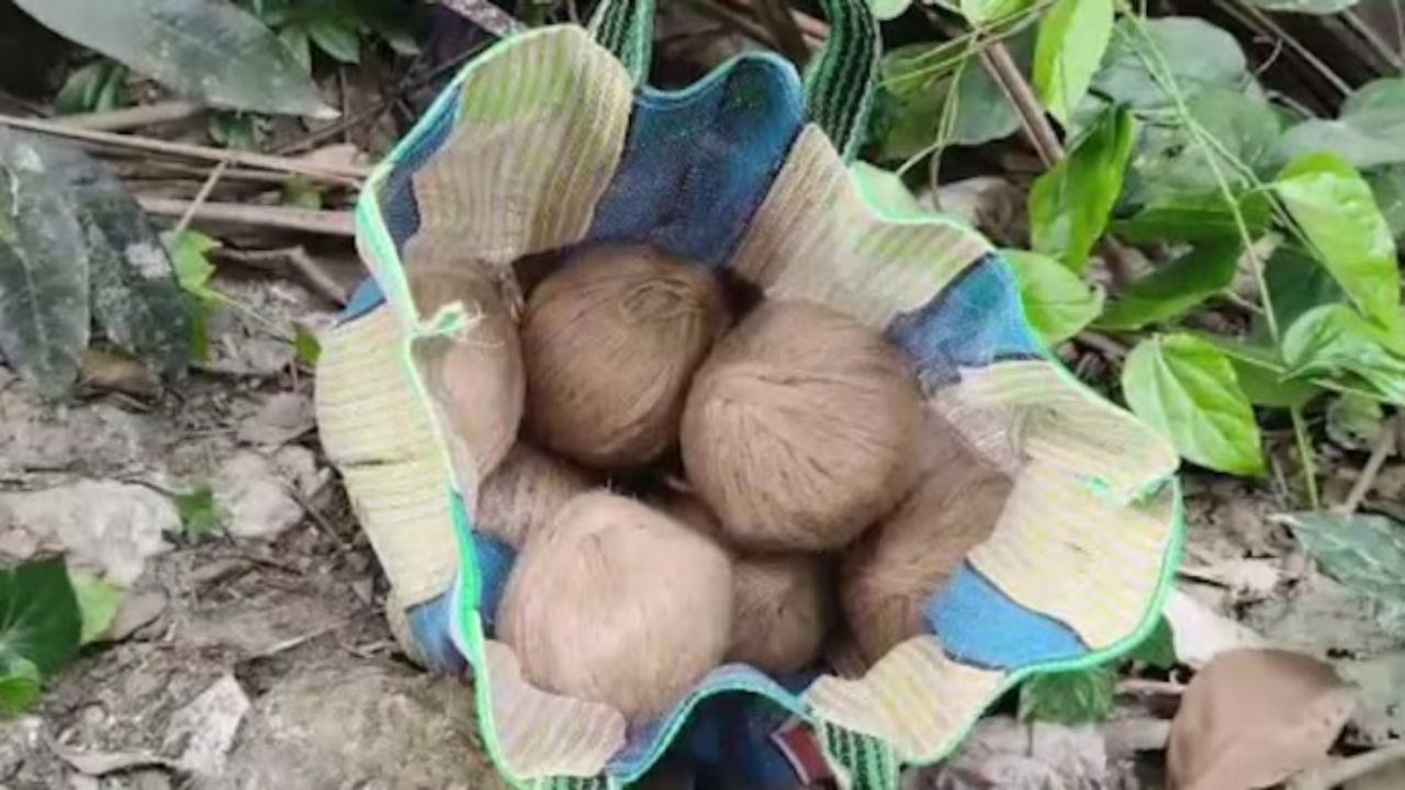 West Bengal Polls 2026: 100 crude bombs recovered from TMC worker’s house in Bhangar