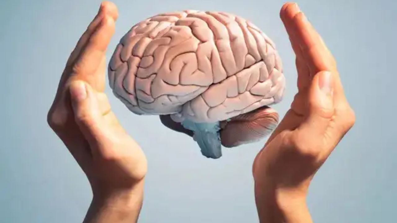 Your daily habits may rewiring your brain; Here’s how