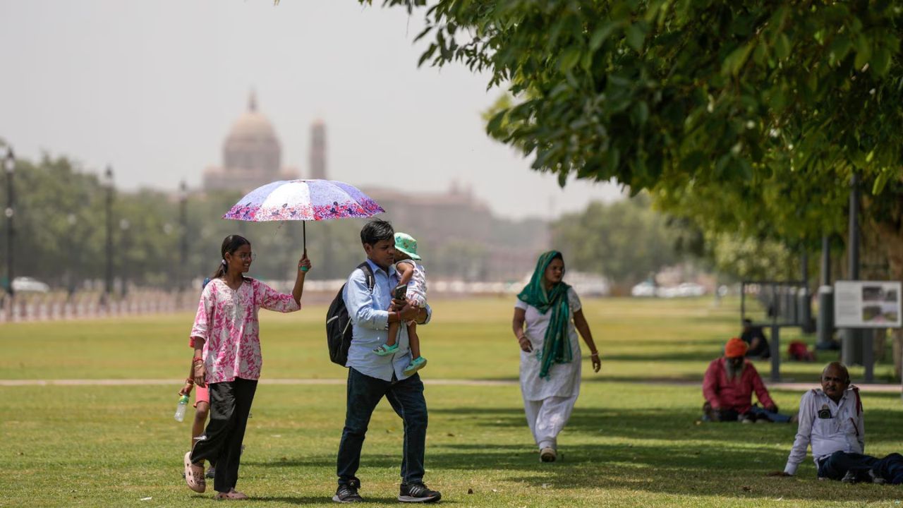 Delhi heatwave far from over; IMD predicts simmering weather for next week