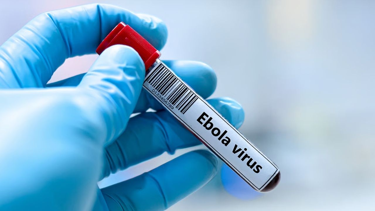 Central govt on alert regarding Ebola; Issues travel advisory for these 3 countries