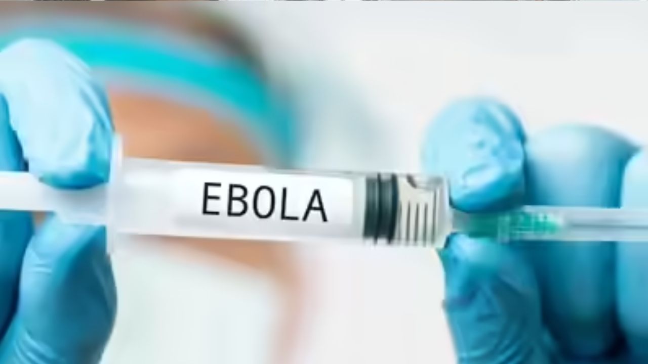 WHO declares Ebola a global health emergency: India’s risk remains low