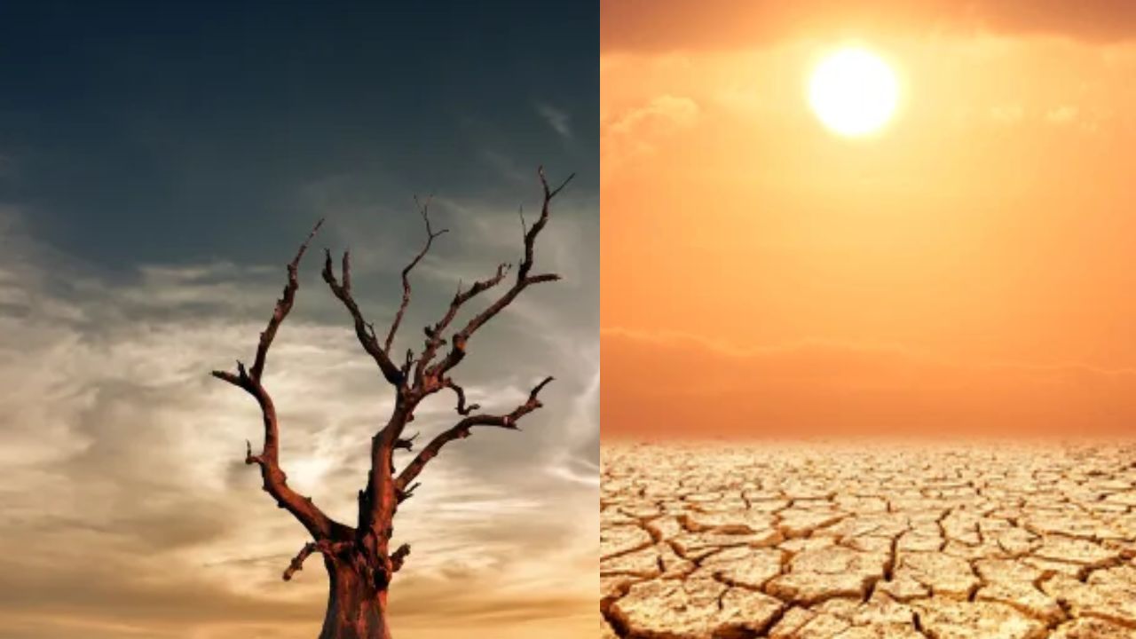 Heat Waves: High temperatures leave streets deserted; How ‘Nautapa’ triggered 2500 deaths