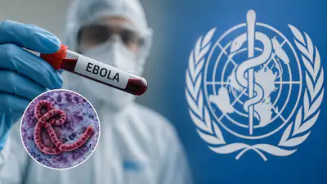No Ebola case reported in India so far, says Health Minister JP Nadda; reviews preparedness