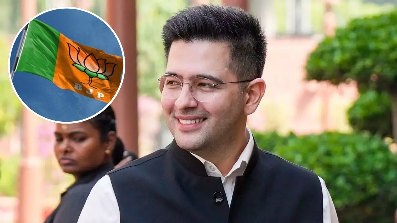 BJP’s Raghav Chadha appointed chairman of Rajya Sabha Committee on Petitions