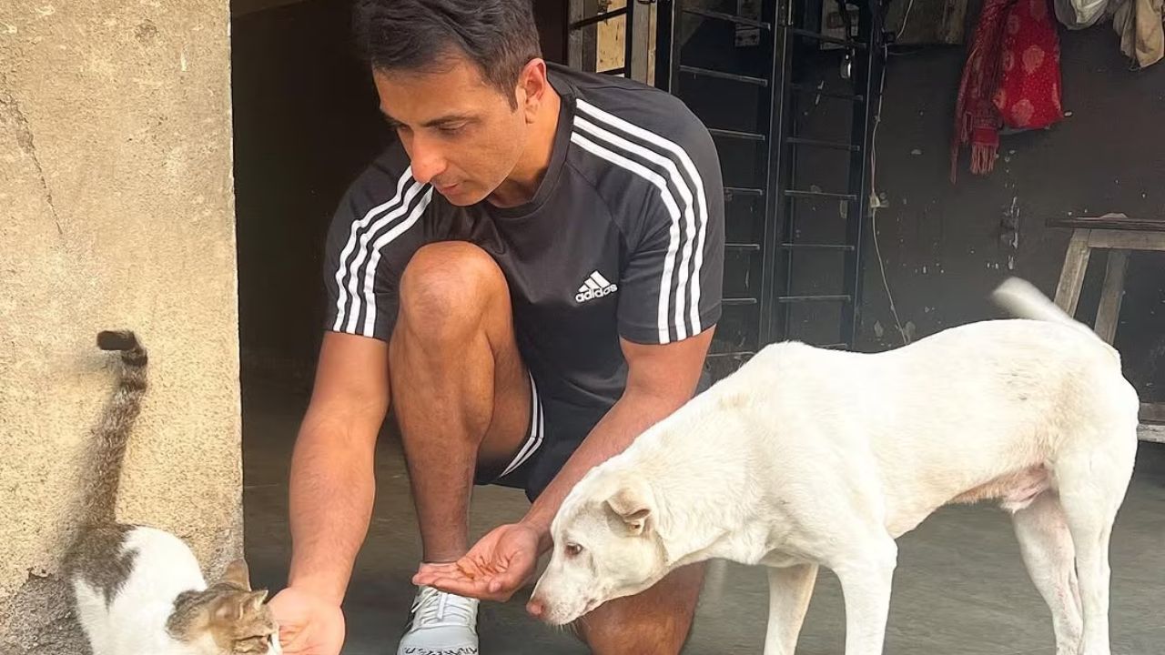 Punjab stray dog row: Sonu Sood calls for adoption and shelters instead of harsh measures