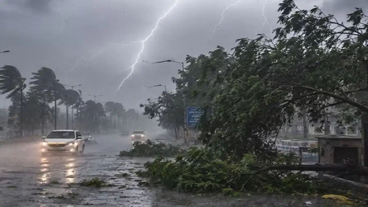UP Weather: 111 killed across as hailstorms, heavy rains wreak havoc in 25 districts