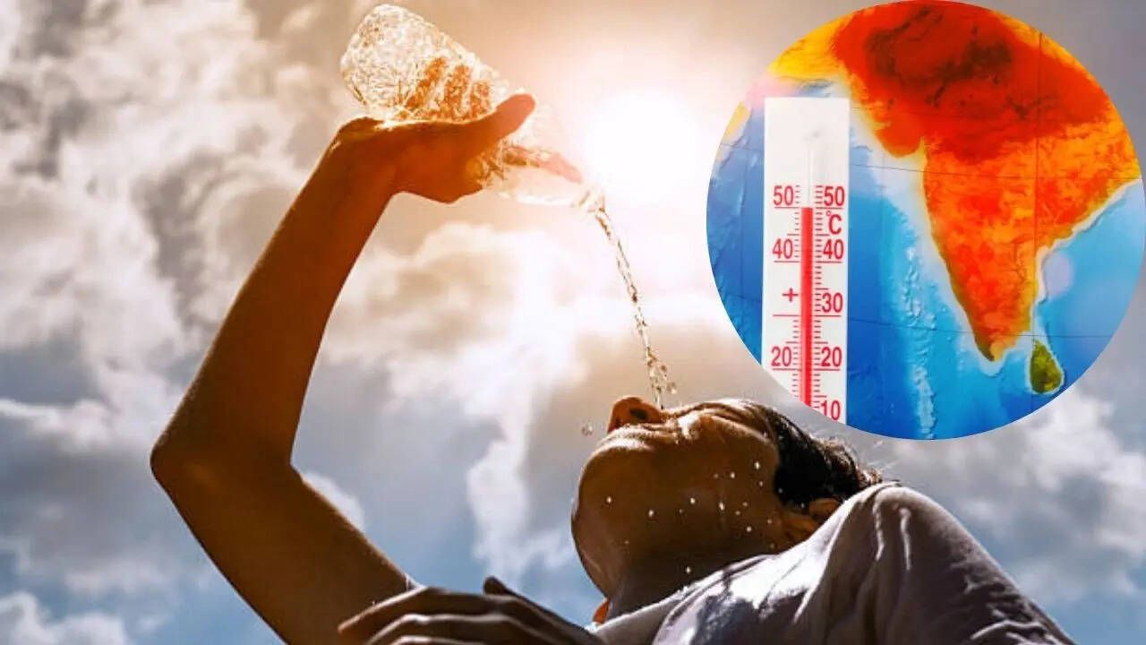 Should you avoid stepping out between 11 am to 4 pm in summer? 8 reasons your body can’t handle the heat