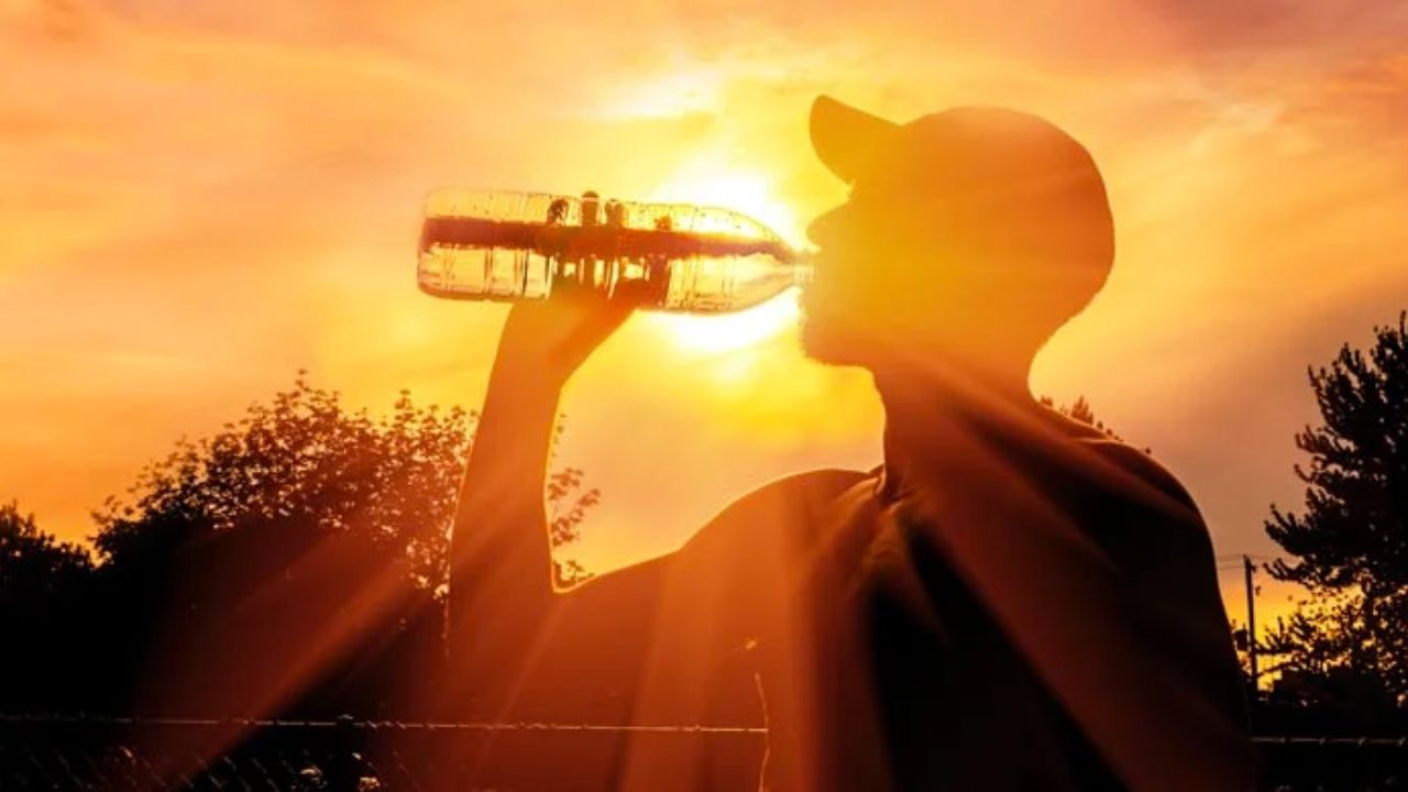 46°C In Delhi? IMD Forecast Signals Intense Heatwave Ahead
