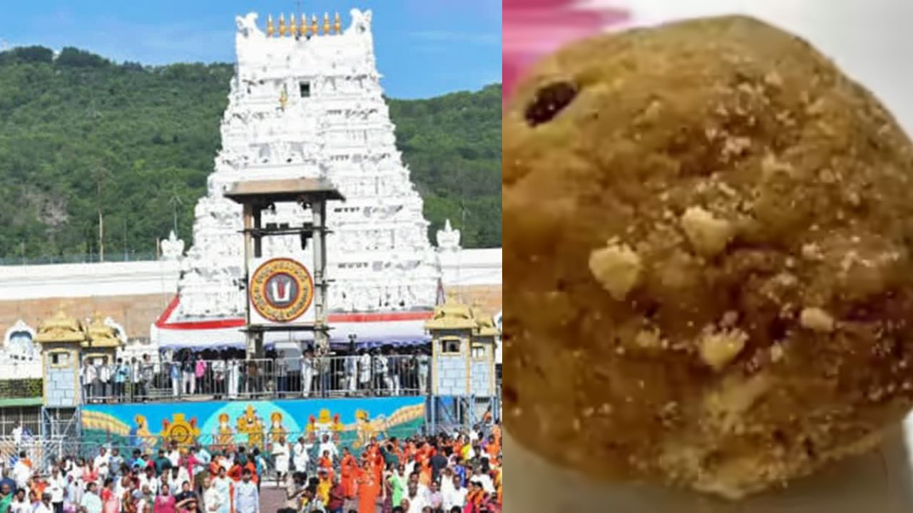Ghee Adulteration At Tirumala Temple: Former TTD official AV Dharma Reddy found guilty