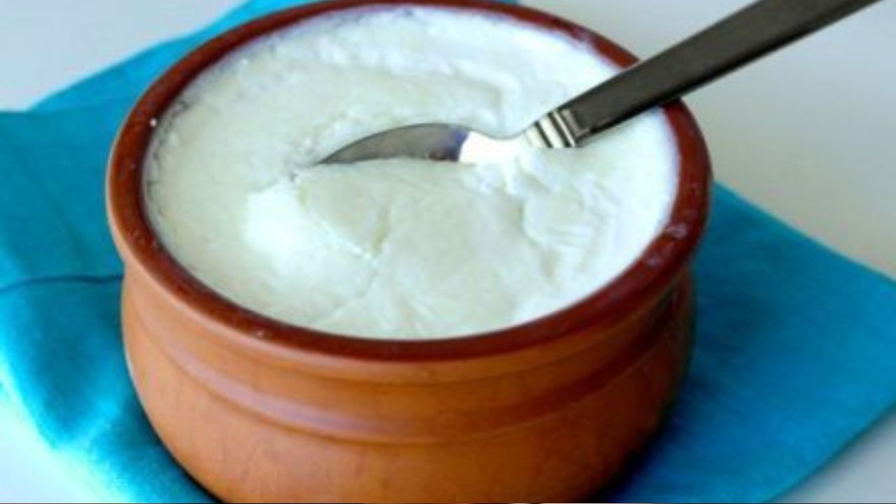 Curd With Salt or Sugar: Which is healthier? Know the better way to eat it