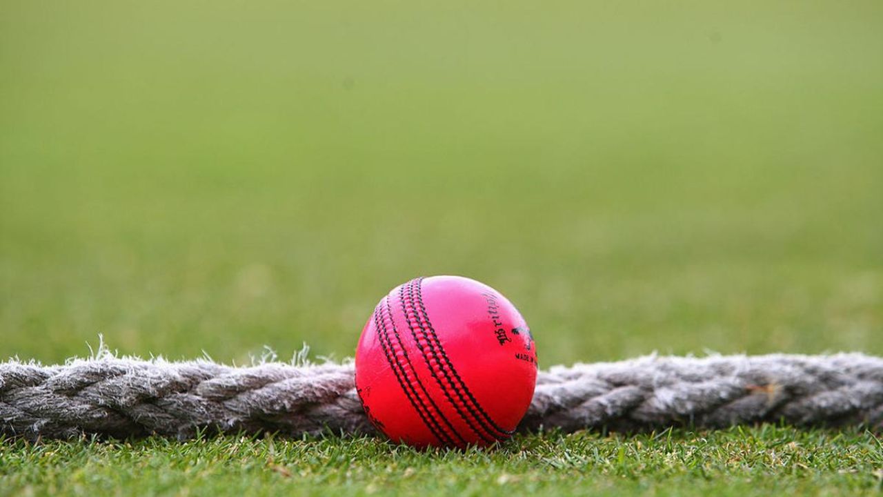 ICC approves pink ball trial in test to reduce disruptions due to poor light