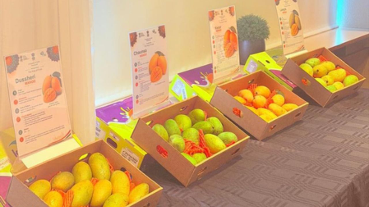 India’s premium mangoes reach Iceland for the first time; Can they win a new market?