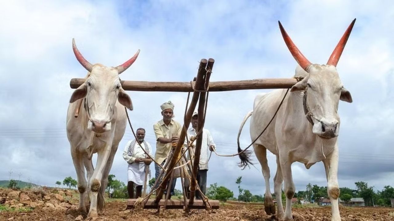 Maharashtra cabinet approves Rs 36,585 crore farm loan waiver plan, makes no public announcement