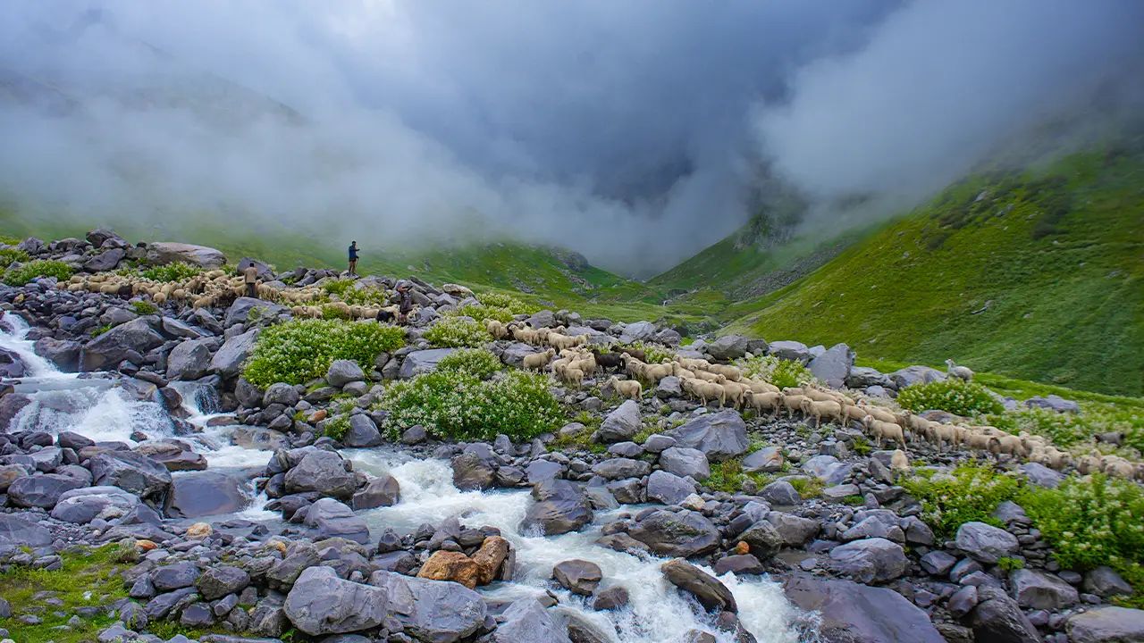 These mountain trails turn into paradise during the monsoon-add them to your trekking bucket list now