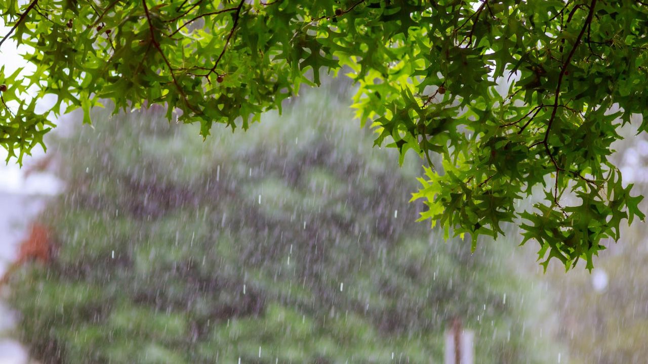 Delhi Rains: Planning To Travel? IMD Issues Major Rain Warning Across Multiple States
