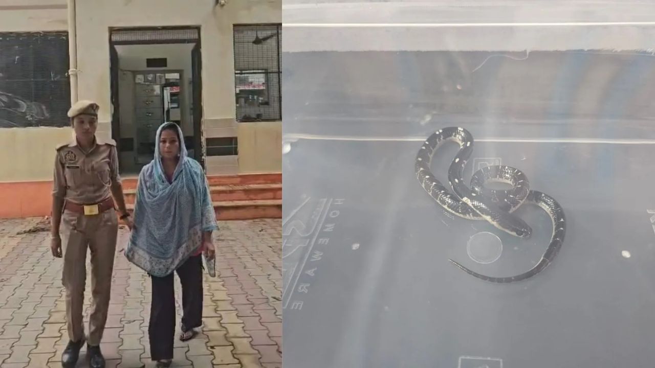 Meerut Snake Murder Mystery: Couple’s Love Marriage Ends in Venomous Plot; Police Uncover Shocking Details