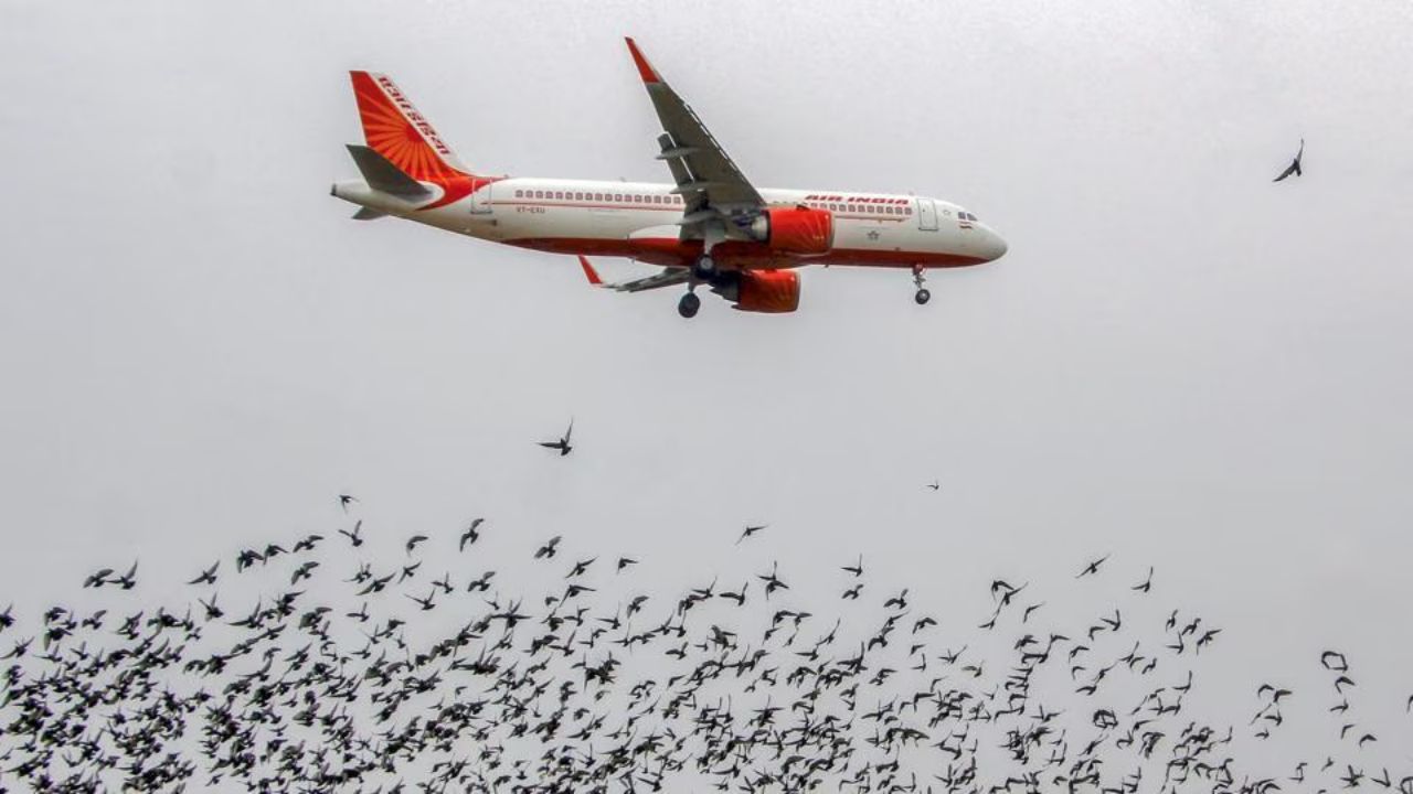 Air India flight carrying 164 passengers suffers bird hit in Patna, lands safely