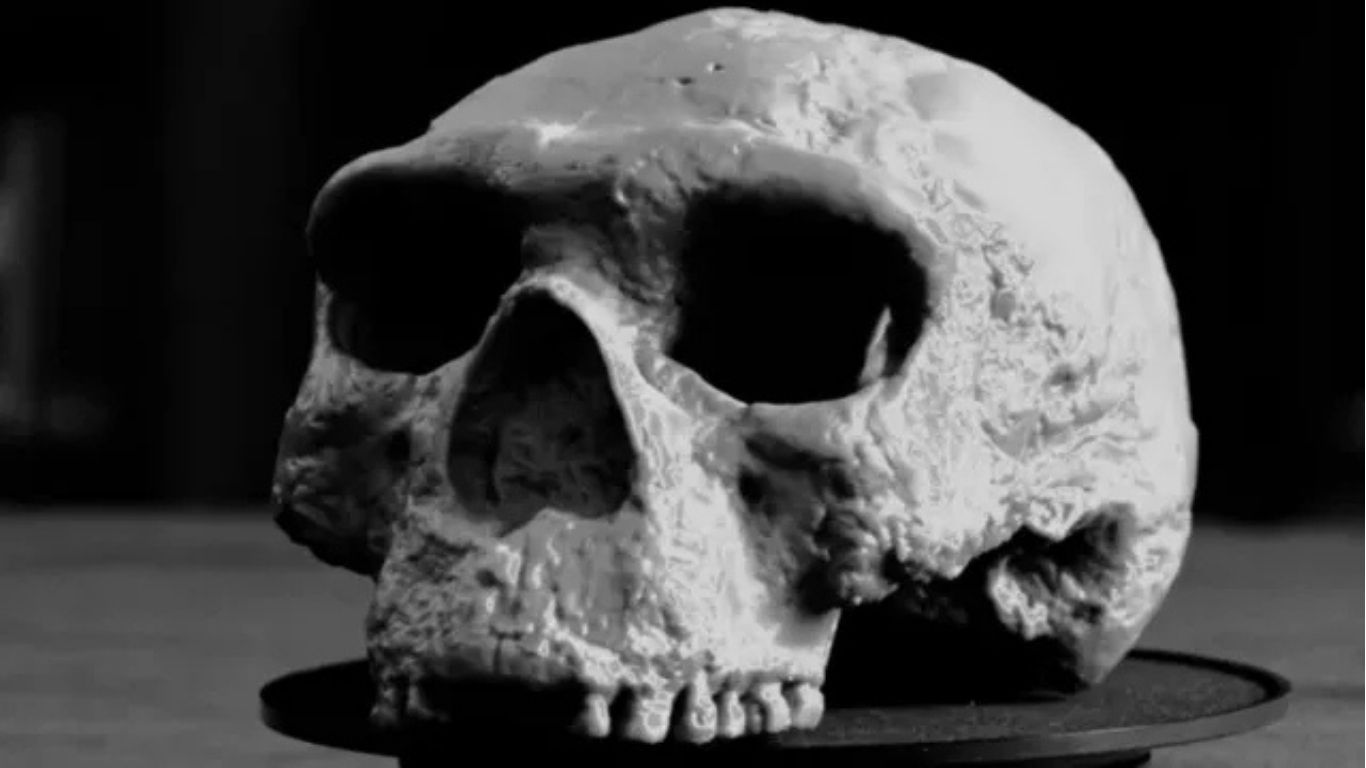 800,000-Year-Old Human Mystery? MP Cave Discovery Could Rewrite India’s Evolution History