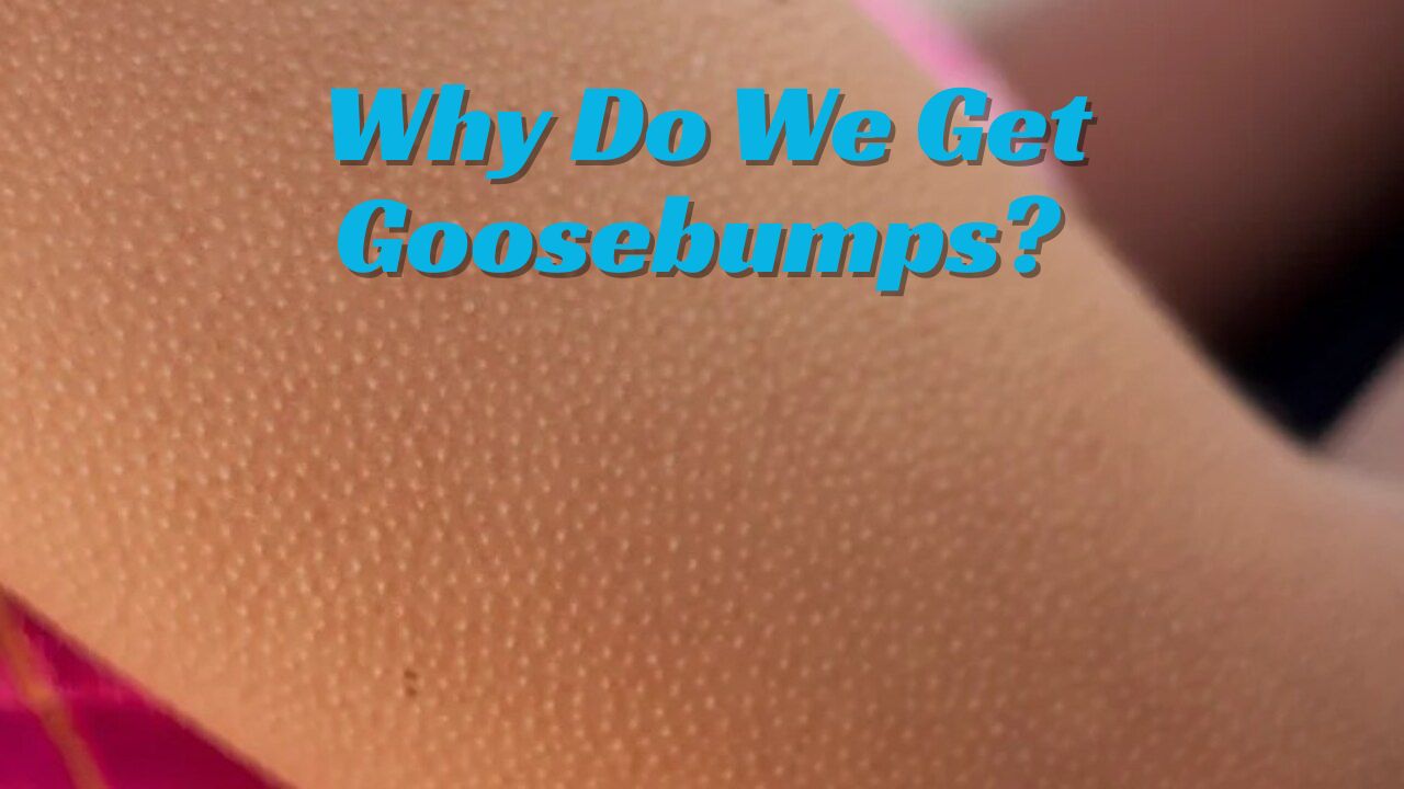 Why Do We Get Goosebumps? Hidden Reason Your Body Reacts This Way