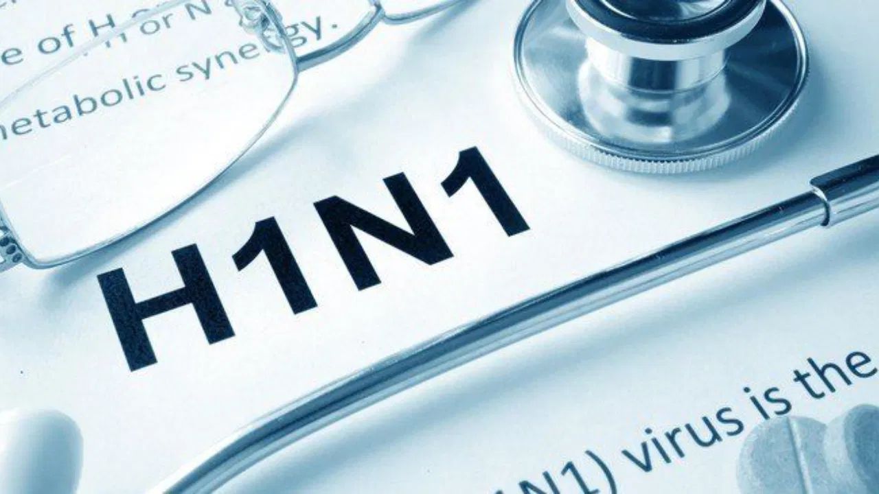 H1N1 Cases Rise In Delhi-NCR: Doctors Warn Against Ignoring Flu Symptoms, Know Safety Tips