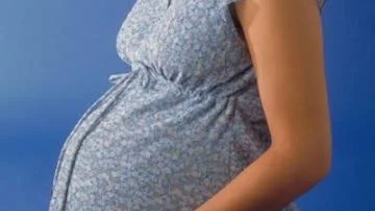 Tamil Nadu Big Maternity Leave Reform: Women Govt Employees Get 365 Days For Third Child