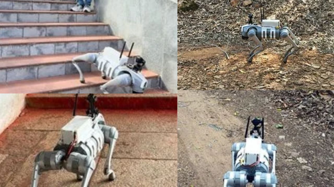 Tirumala’s New AI Guardian: TTD Deploys Robot Dog to Protect Pilgrims From Leopard Threat