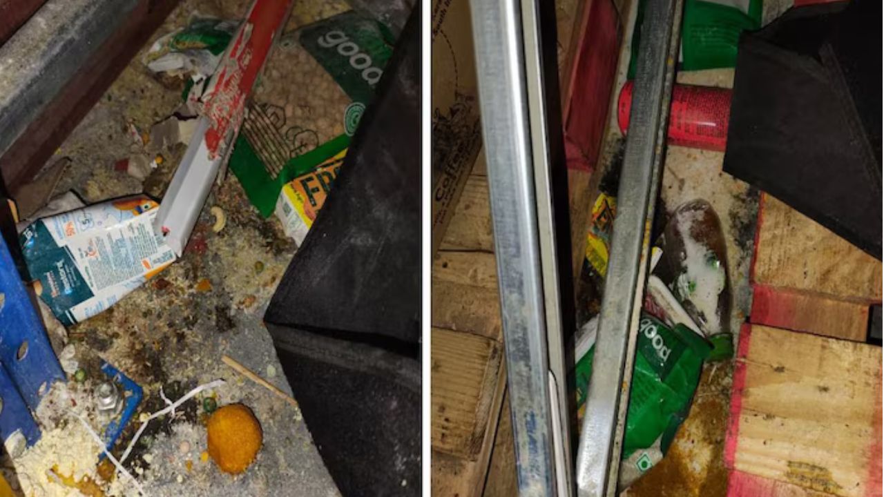 Zepto Warehouse Horror Exposed! ‘Extremely Unhygienic’ Conditions Found During Bengaluru Raid