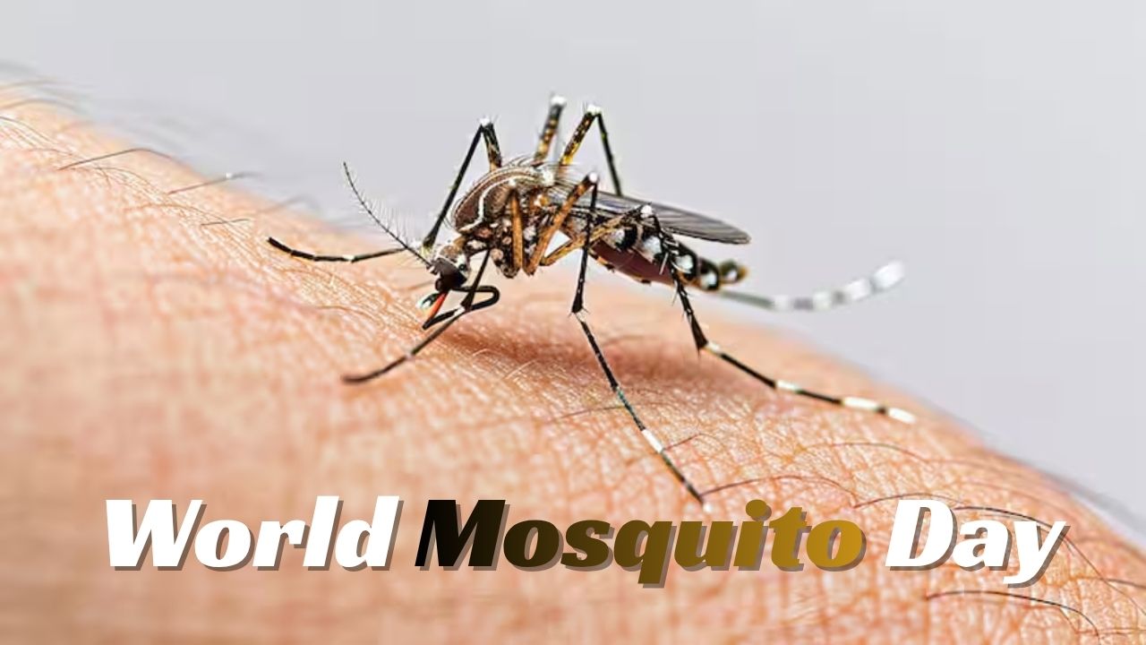 World’s Deadliest Creature Is Not Lion Or Snake… It’s Mosquito; Here’s Why
