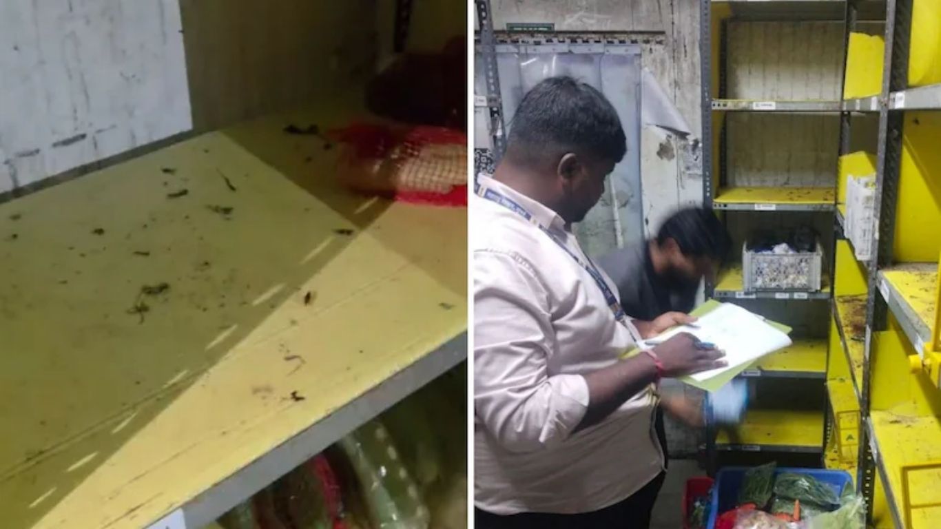 Cockroaches In Food Storage? FDA Suspends Blinkit’s Mumbai License Over Expired Food, Unhygienic Conditions