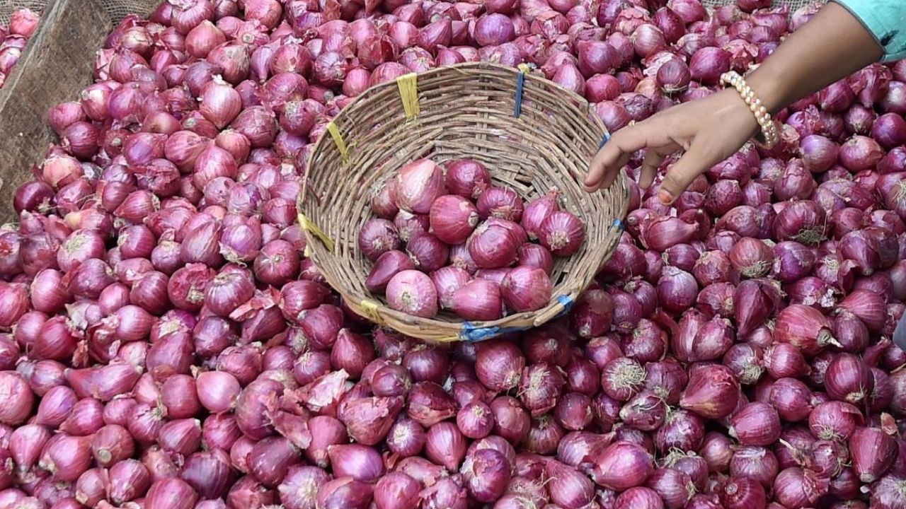 Onion Prices Jump 59% In A Year; Centre Launches ‘Kanda Express’ To Boost Supply, Control Rates