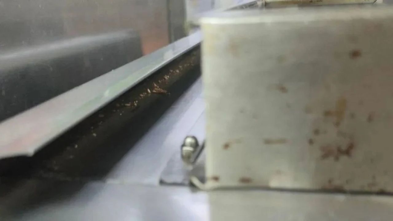 McDonald’s Kitchen Exposed? Maharashtra FDA Finds Cockroaches, Stale Food; Suspends Licence