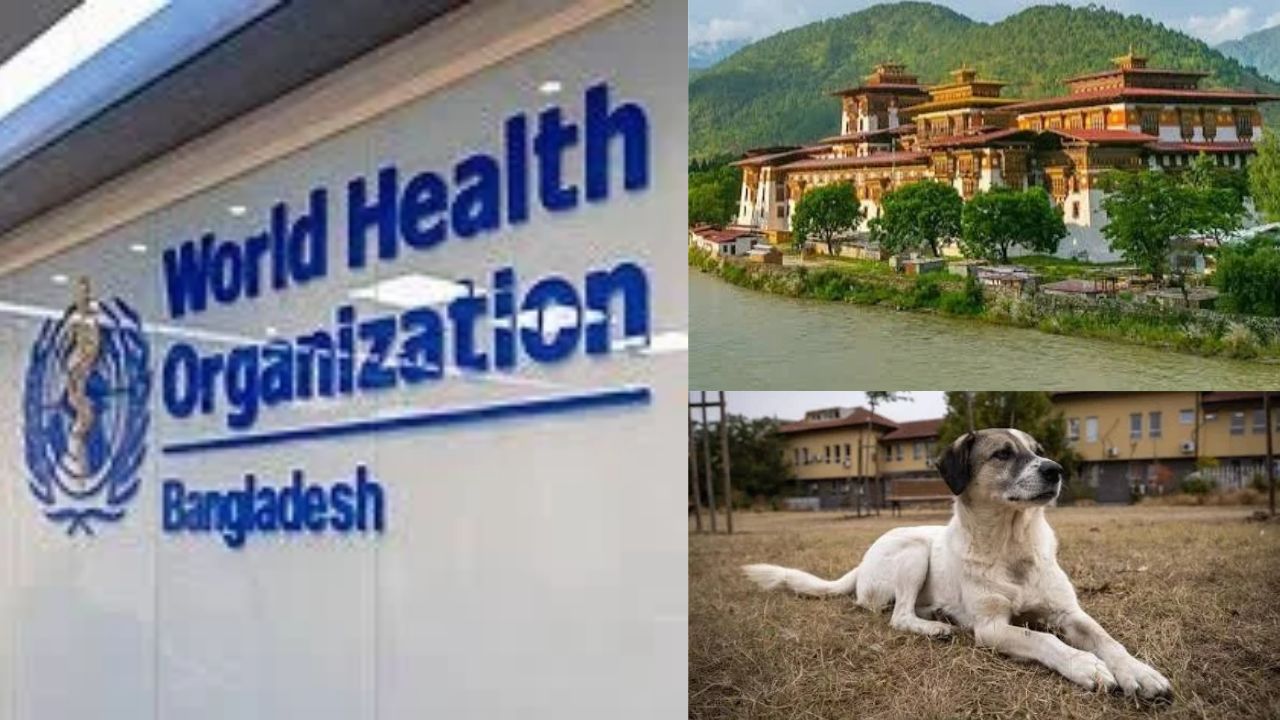 Global Health History: Bhutan Defeats Deadly Rabies, Becomes First Country To Achieve Rare Milestone