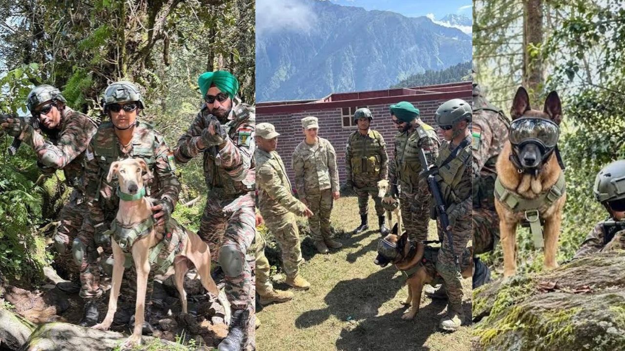 Indian Army Desi War Dogs Surprise US Troops During Yudh Abhyas 2026 Drill