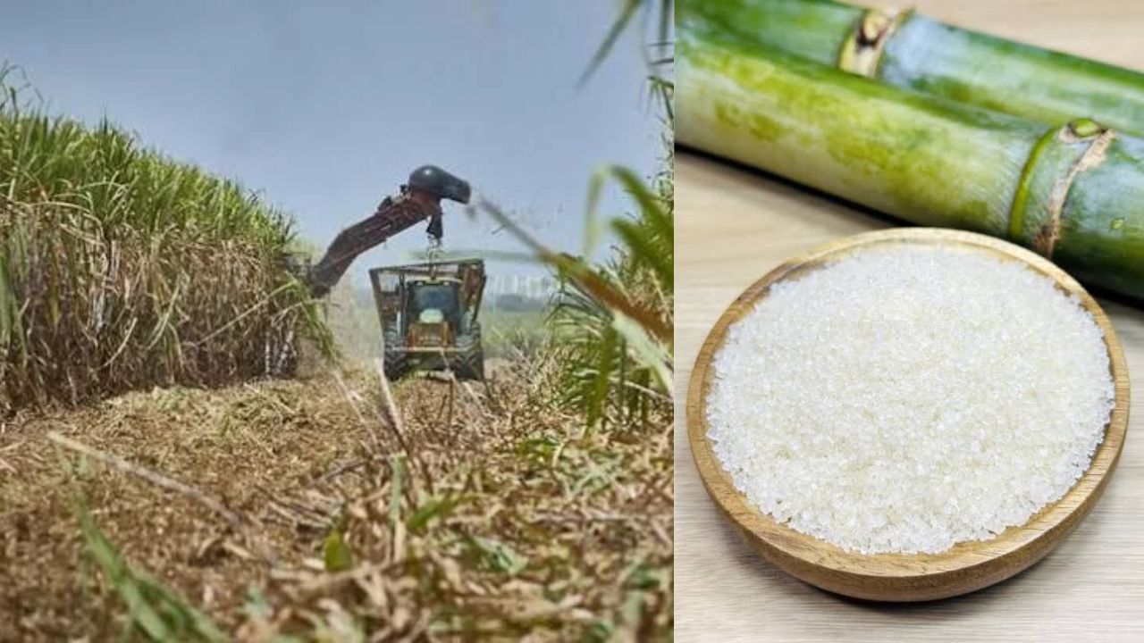 Sugar Price Shock: Centre Slashes Sugar Stock Limits, Big Move To Control Rates