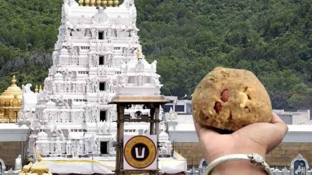 Tirupati Laddu Row: ED Confirms Use of Fake Ghee, YSRCP Targets CM Naidu