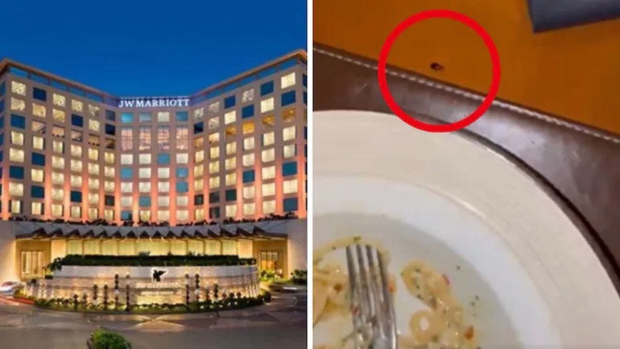 Dinner With a Cockroach at JW Marriott Mumbai: Cardiologist Ashok Seth Raises Hygiene Concerns