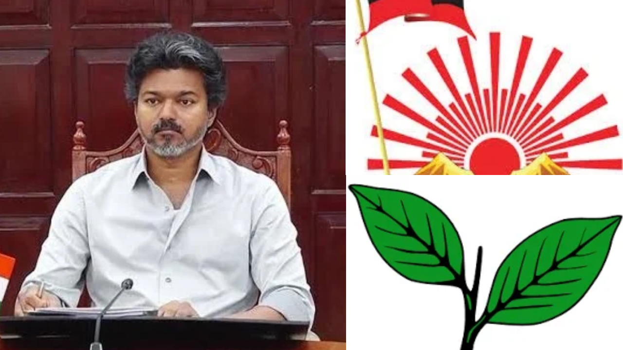 Tamil Nadu Bypolls Heat Up: Vijay Government Battles AIADMK, DMK Challenge