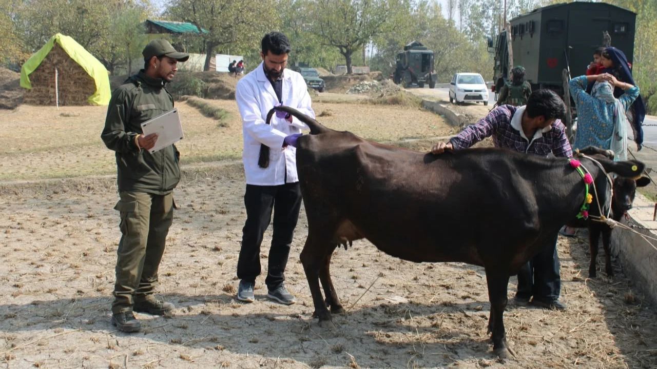 Indian Army Extends Veterinary Support to Villagers in Budgam, Distributes Essential Medicines