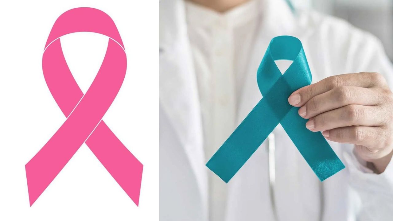 Genetic Screening Finds Inherited Cancer Risk in Nearly 30% of North Indian Families Studied