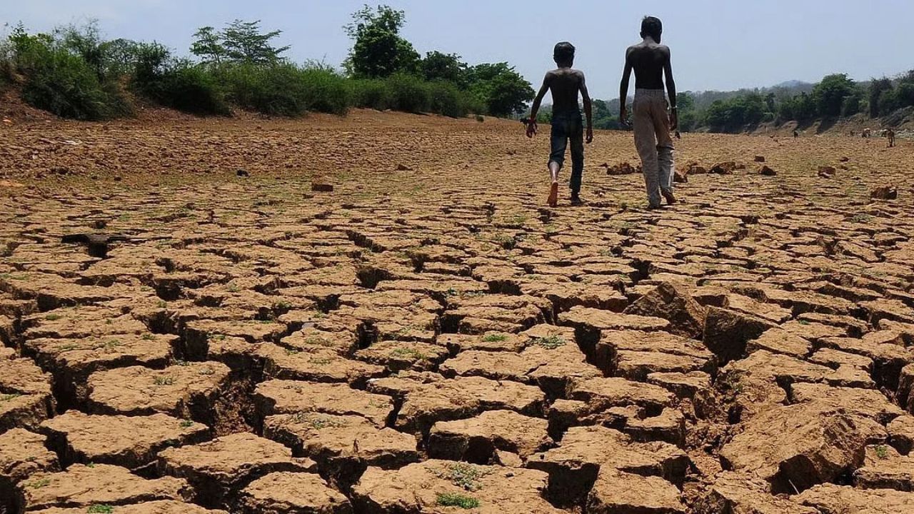 Drought-Hit Karnataka Seeks Rs 7,142 Crore From Centre, Teams Begin Field Survey