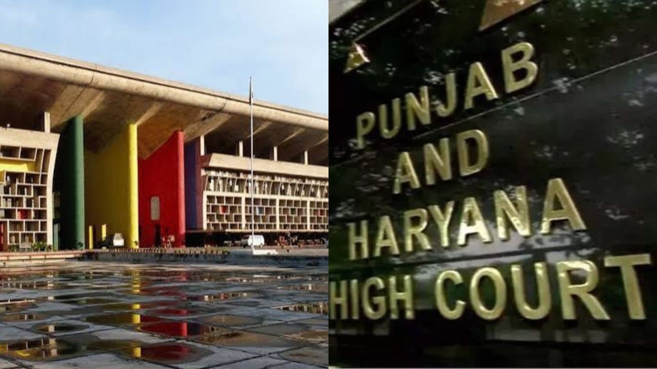 Punjab Haryana HC Orders CBI Probe Into Corruption Allegations Against Bhagwant Mann’s Aides