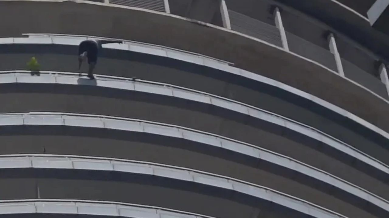 Supernova Building Tragedy: Man Jumps From 43rd Floor in Noida, Dies; Probe Underway